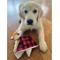 Show in main carousel: Zanies Buffalo Check Fox Puppy Blanket Squeaky Dog Chew Toy slide 4 of 6
