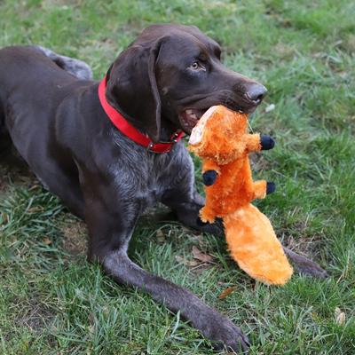 Show full view: FurRealz Flattie Ballistic Belly Fox Dog Chew Toy, 18-in, 18-in slide 4 of 4