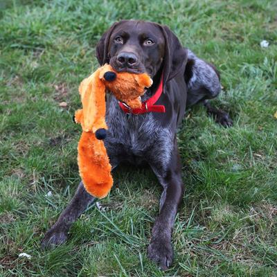 Show full view: FurRealz Flattie Ballistic Belly Fox Dog Chew Toy, 18-in, 18-in slide 3 of 4