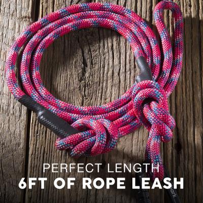 Show full view: Embark Harness Co. Adventure Pro Climbing Rope & Carabiner Dog Leash, Pink, 6-ft slide 5 of 5