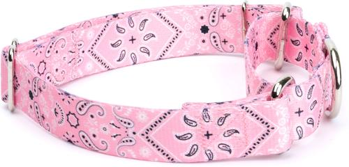 Show full view: Country Brook Petz Pink Bandana Martingale Dog Collar, X-Large: 23 to 31-in neck, 1-in wide slide 6 of 8