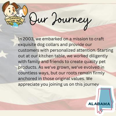 Show full view: Country Brook Petz Utah Martingale Dog Collar, Small: 11 to 15-in neck, 5/8-in wide slide 7 of 9