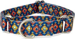 Country Brook Petz Utah Martingale Dog Collar, Small: 11 to 15-in neck, 5/8-in wide