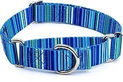 Country Brook Petz Blue Serape Martingale Dog Collar, Medium: 15 to 21-in neck, 1-in wide