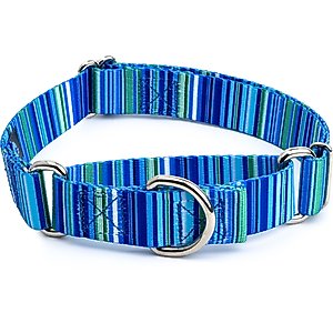 Country Brook Petz Blue Serape Martingale Dog Collar, Medium: 15 to 21-in neck, 1-in wide