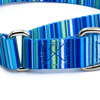 Show full view: Country Brook Petz Blue Serape Martingale Dog Collar, Medium: 15 to 21-in neck, 1-in wide slide 6 of 6