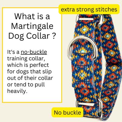 Show full view: Country Brook Petz Utah Martingale Dog Collar, Small: 11 to 15-in neck, 5/8-in wide slide 5 of 9