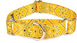 Country Brook Petz Yellow Bandana Martingale Dog Collar, Medium: 15 to 21-in neck, 1-in wide