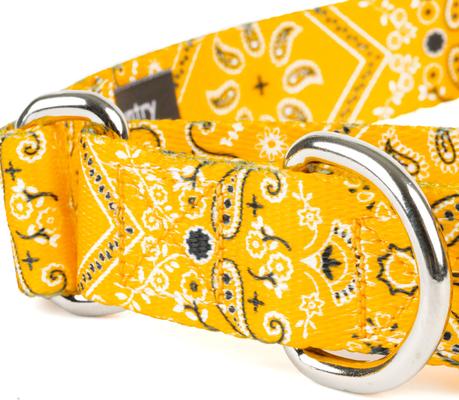 Show full view: Country Brook Petz Yellow Bandana Martingale Dog Collar, X-Large: 23 to 31-in neck, 1-in wide slide 6 of 6