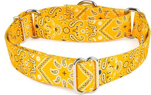 Show full view: Country Brook Petz Yellow Bandana Martingale Dog Collar, X-Large: 23 to 31-in neck, 1-in wide slide 4 of 6