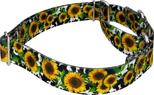 Show full view: Country Brook Petz Dairy Fields Martingale Dog Collar, Small: 11 to 15-in neck, 5/8-in wide slide 7 of 8