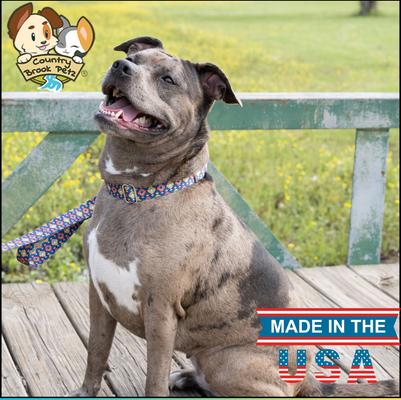 Show full view: Country Brook Petz Utah Martingale Dog Collar, Small: 11 to 15-in neck, 5/8-in wide slide 2 of 9