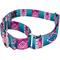 Show in main carousel: Country Brook Petz Albuquerque Martingale Dog Collar, X-Small: 9 to 12-in neck, 1/2-in wide slide 5 of 7