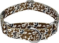 Country Brook Petz Cow Print Martingale Dog Collar, Large: 18 to 26-in neck, 1-in wide