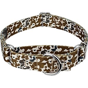 Country Brook Petz Cow Print Martingale Dog Collar, Large: 18 to 26-in neck, 1-in wide