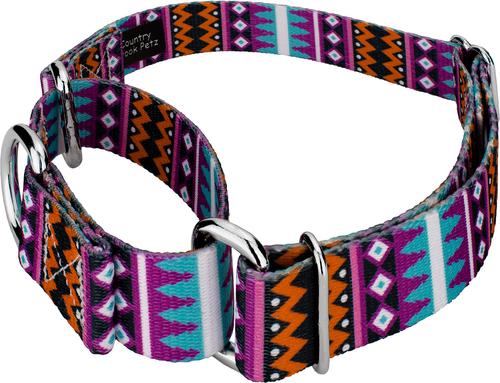Show full view: Country Brook Petz Santa Fe Martingale Dog Collar, Medium: 15 to 21-in neck, 1-in wide slide 3 of 5