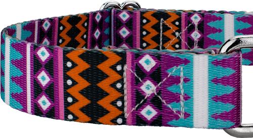 Show full view: Country Brook Petz Santa Fe Martingale Dog Collar, Medium: 15 to 21-in neck, 1-in wide slide 5 of 5