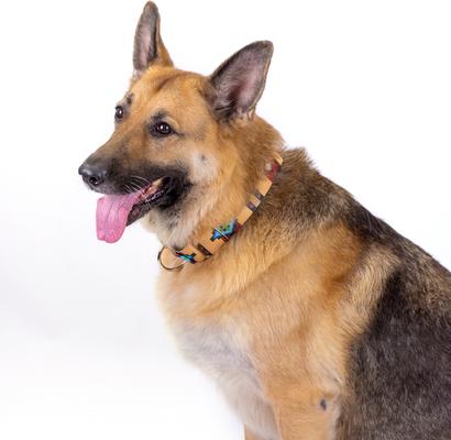 Show full view: Country Brook Petz Native Arizona Martingale Dog Collar, Large: 18 to 26-in neck, 1-in wide slide 2 of 7