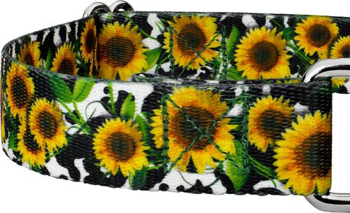 Show full view: Country Brook Petz Dairy Fields Martingale Dog Collar, Small: 11 to 15-in neck, 5/8-in wide slide 8 of 8
