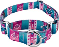 Country Brook Petz Albuquerque Martingale Dog Collar, Large: 18 to 26-in neck, 1-in wide