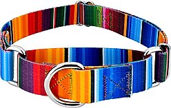 Country Brook Petz Serape Martingale Dog Collar, Medium: 15 to 21-in neck, 1-in wide