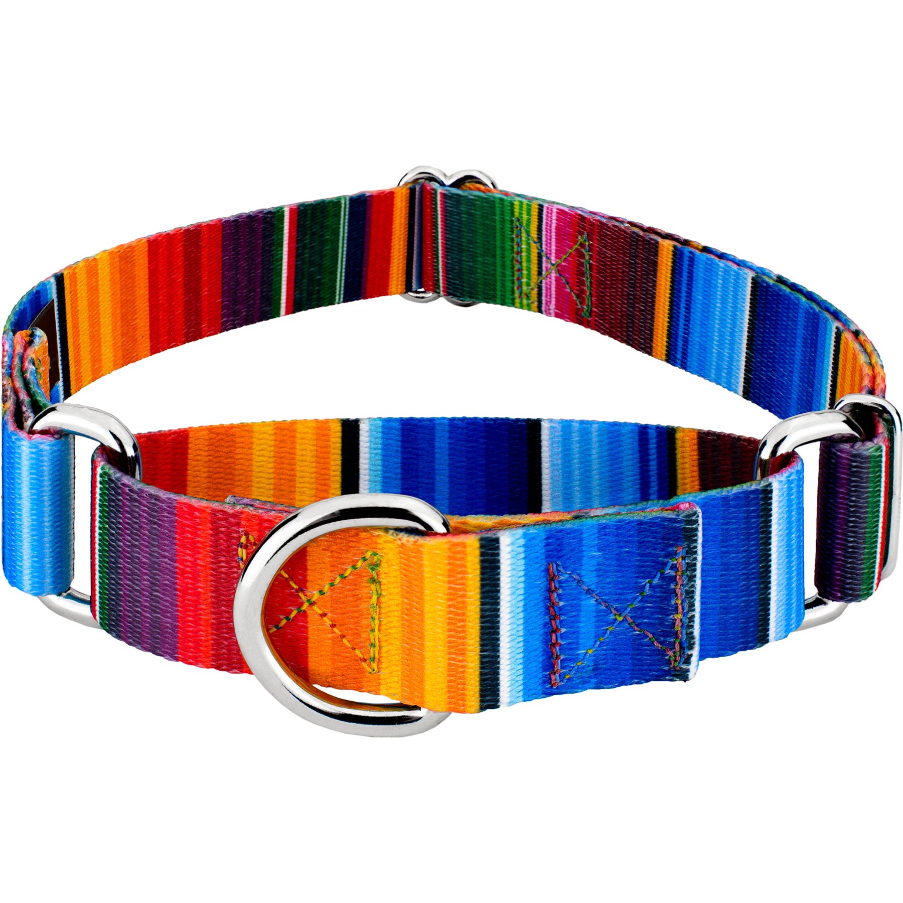 Country Brook Petz Serape Martingale Dog Collar, X-Small: 9 to 12-in neck, 1/2-in wide