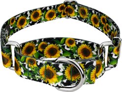 Country Brook Petz Dairy Fields Martingale Dog Collar, Small: 11 to 15-in neck, 5/8-in wide
