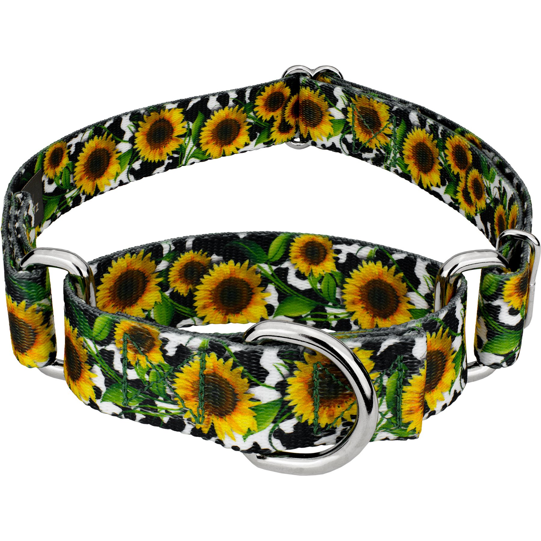 Country Brook Petz Dairy Fields Martingale Dog Collar, X-Small: 9 to 12-in neck, 1/2-in wide