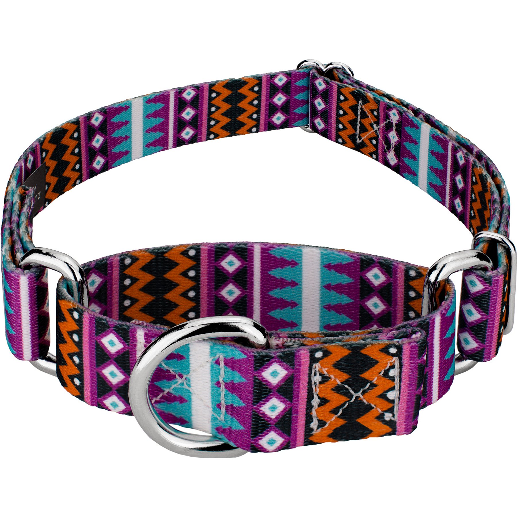 Country Brook Petz Santa Fe Martingale Dog Collar, Medium: 15 to 21-in neck, 1-in wide