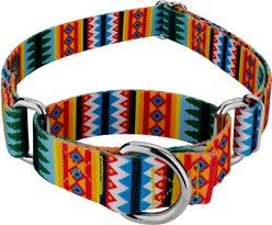 Country Brook Petz Summer Pines Martingale Dog Collar, Large: 18 to 26-in neck, 1-in wide