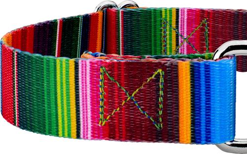 Show full view: Country Brook Petz Serape Martingale Dog Collar, X-Large: 23 to 31-in neck, 1-in wide slide 6 of 7