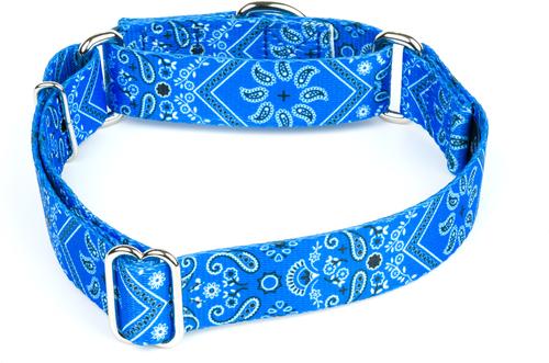 Show full view: Country Brook Petz Blue Bandana Martingale Dog Collar, Small: 11 to 15-in neck, 5/8-in wide slide 4 of 6