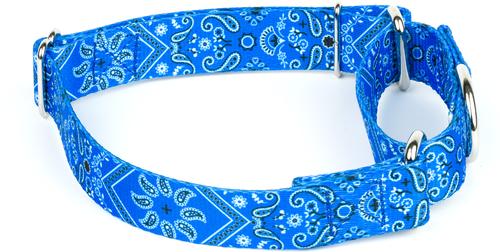 Show full view: Country Brook Petz Blue Bandana Martingale Dog Collar, Small: 11 to 15-in neck, 5/8-in wide slide 3 of 6