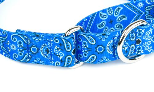 Show full view: Country Brook Petz Blue Bandana Martingale Dog Collar, Small: 11 to 15-in neck, 5/8-in wide slide 6 of 6