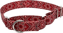 Country Brook Petz Red Bandana Martingale Dog Collar, Medium: 15 to 21-in neck, 1-in wide