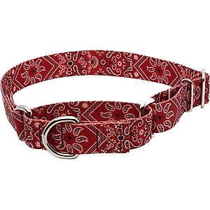 Country Brook Petz Red Bandana Martingale Dog Collar, Medium: 15 to 21-in neck, 1-in wide