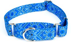 Country Brook Petz Blue Bandana Martingale Dog Collar, Small: 11 to 15-in neck, 5/8-in wide