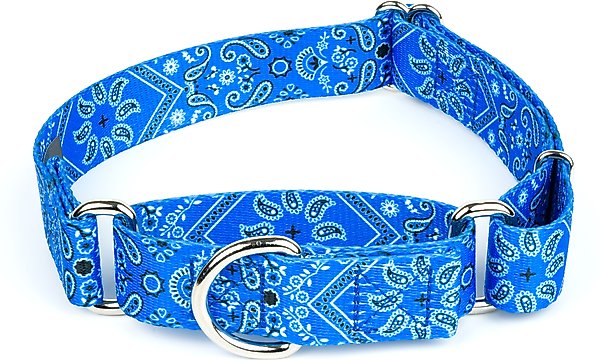 Country Brook Petz - HossFit Jr Wide Martingale Dog Collar - Americana Collection Featuring Patriotic Designs (Patriotic Tribute, Medium