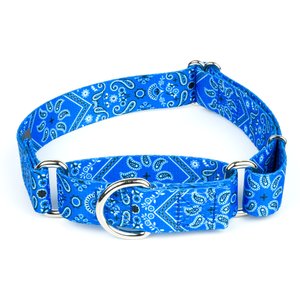 Country Brook Petz Blue Bandana Martingale Dog Collar, XX-Small: 7 to 10-in neck, 1/2-in wide