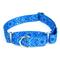 Show in main carousel: Country Brook Petz Blue Bandana Martingale Dog Collar, Small: 11 to 15-in neck, 5/8-in wide slide 1 of 6