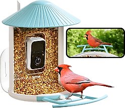 Birdfy Smart Bird Feeder Camera AI Recognition, 1.5L