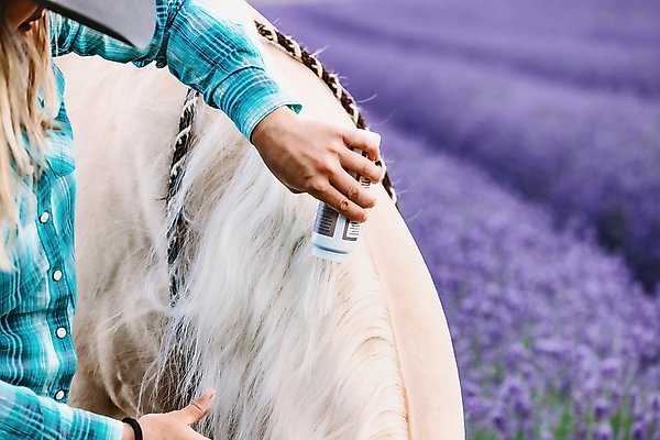 Show full view: Equiderma Daily Defense Horse Dry Shampoo, 16 fl-oz bottle slide 2 of 3
