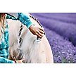 Show in main carousel: Equiderma Daily Defense Horse Dry Shampoo, 16 fl-oz bottle slide 2 of 3
