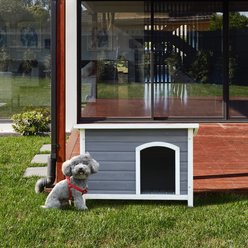 Cesicia Elevated Wooden Outdoor Dog House, Grey