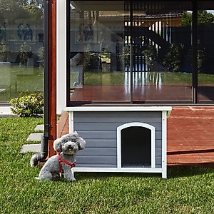 Cesicia Elevated Wooden Outdoor Dog House, Grey