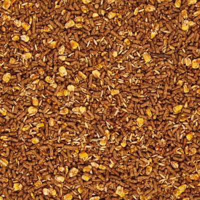 Show full view: Formula of Champions Game Plan Starter-Developer 16% Medicated Textured Show Goat Feed with Decoquinate, 50-lb bag slide 2 of 4