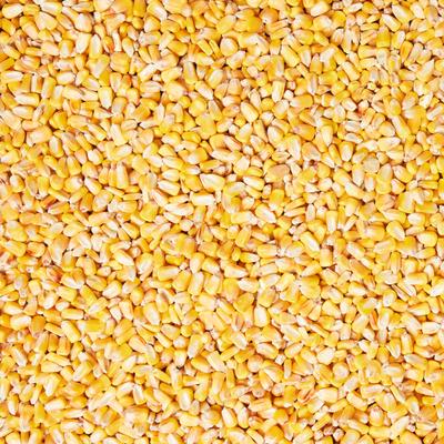 Show full view: Healthy Harvest Whole Corn Farm Feed, 40-lb bag slide 2 of 2