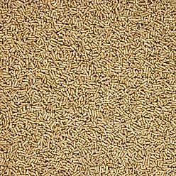 Kent / Blue Seal Sentinel Care MultiSentials 2:1 Horse Feed, 25-lb bag slide 2 of 2