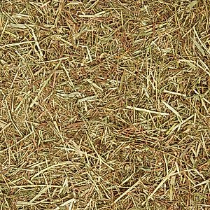Standlee Premium Timothy Grass Chopped Forage Horse Feed, 25-lb bag