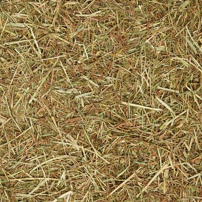 Show full view: Standlee Premium Timothy Grass Chopped Forage Horse Feed, 25-lb bag slide 7 of 8